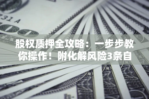 北京股权质押全攻略：一步步教你操作！附化解风险3条自救法则