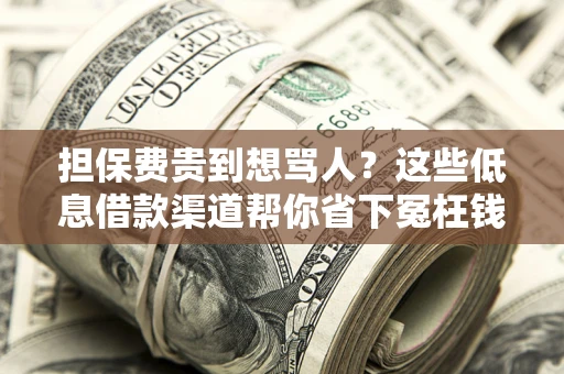 北京担保费贵到想骂人？这些低息借款渠道帮你省下冤枉钱
